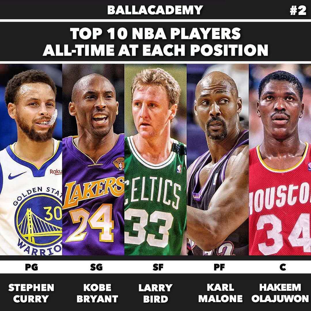 荷兰小将马 荷兰小将马