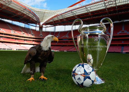 的策略优势 的策略优势